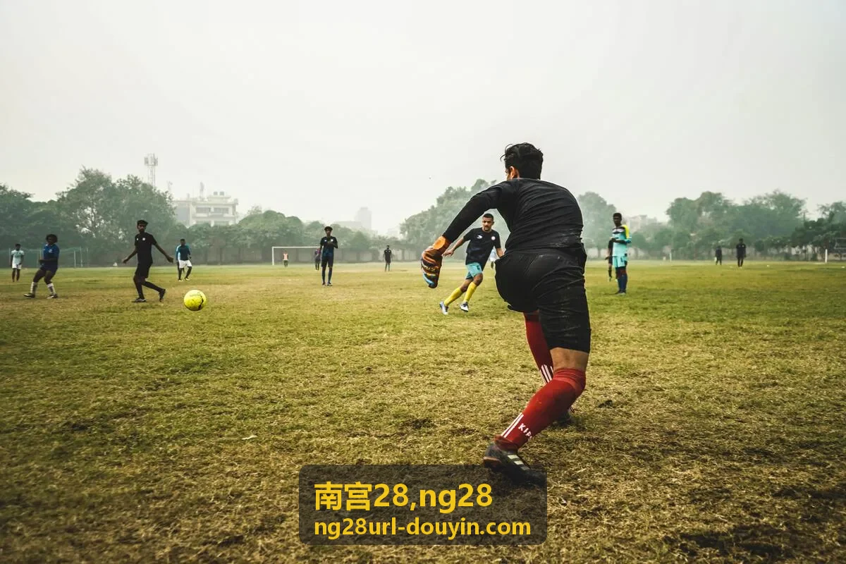 南宫28 NG28 移动端访问路径优化